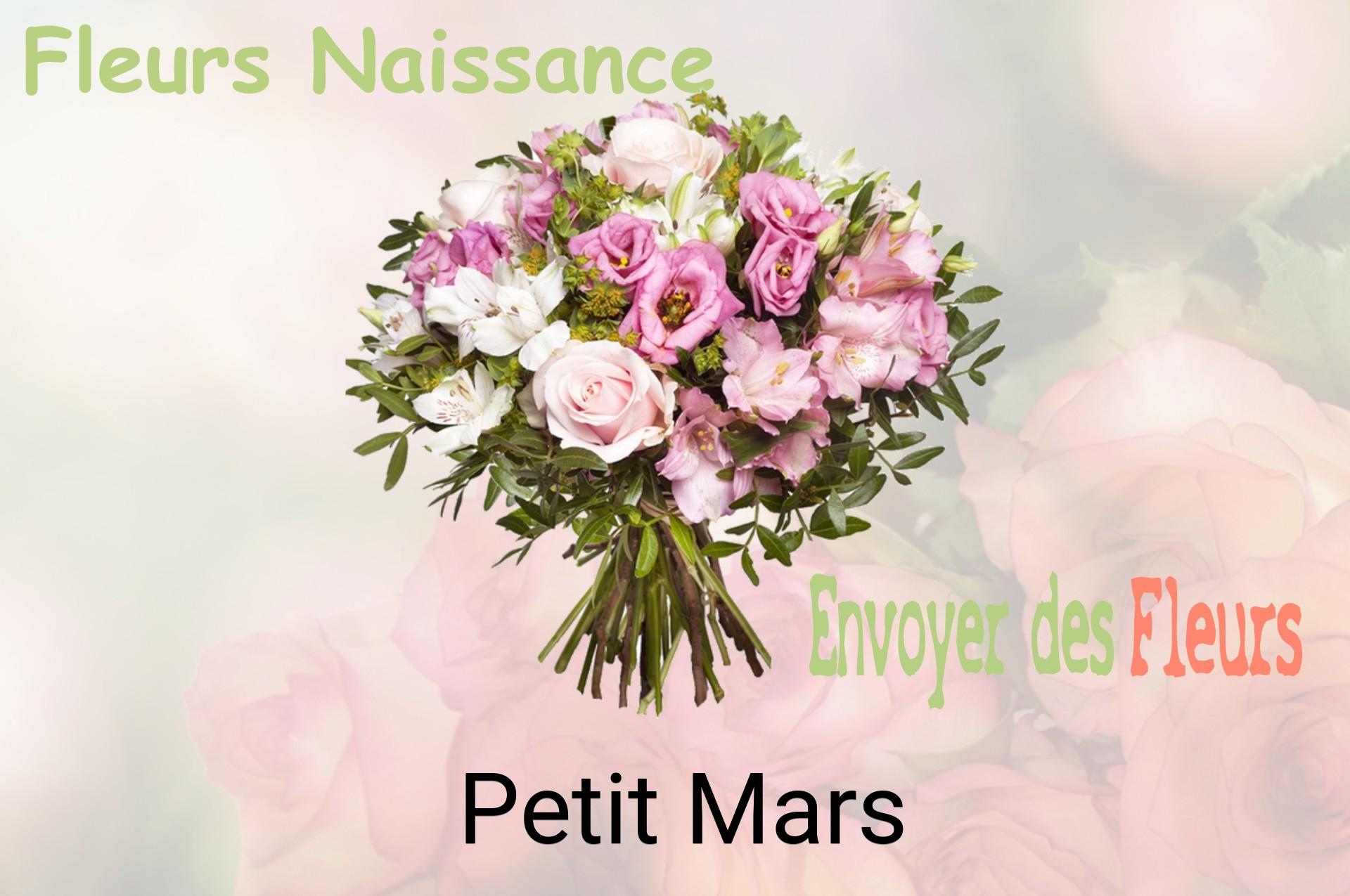 Bouquet de fleurs de naissance livré à Petit-Mars